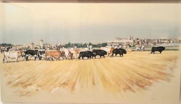 Cuellar Los encierros mas antiguos de España